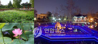 <서울 어린이대공원에 연꽃 활짝>