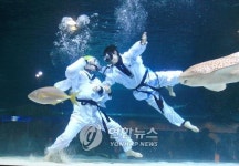 수중 태권도 경기