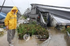 고양 행주동 호우로 축대 무너져