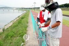 <경주 시민휴식공간 강변에 웬 그물 펜스?>