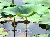 후기