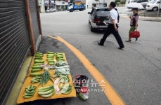 춘천시청 앞 `無人 양심 채소가게