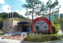 대전 서구 정림동 어린이도서관 개관