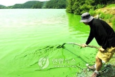 녹조 심각한 울산 선암댐 수변공원