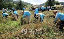들풀을 먹이자..단양서 소꼴베기 행사