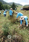 들풀을 먹이자..단양서 소꼴베기 행사