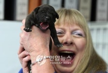 알앤엘바이오 복제견 5마리 출산