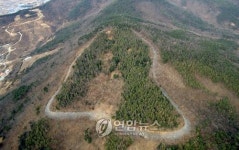 김해 양동산성