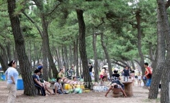 백사장 보다 인기 좋은 경포 송림