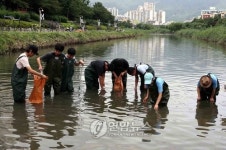 부산 온천천도 살리고 지구도 살리고