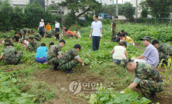 해사생도 제주서 봉사활동 펼쳐