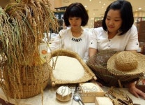 수라상에 오르던 여주 햅쌀 출시