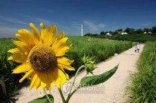 가을이 가져다 준 원색의 美