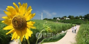 가을이 가져다 준 원색의 美