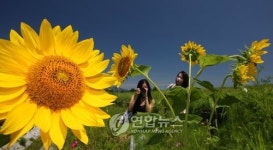 가을이 가져다 준 원색의 美