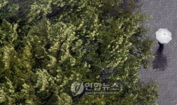 바람부는데