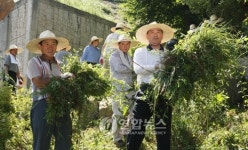 환경부 봉사활동으로 주말 보내요
