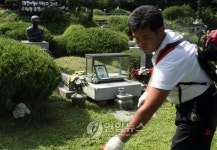 남양주 모란공원 민주열사 묘 벌초