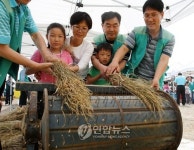 벼 탈곡 재미있어요