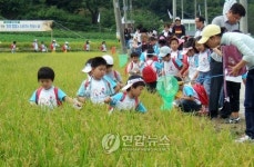 메뚜기 잡는 유치원생들
