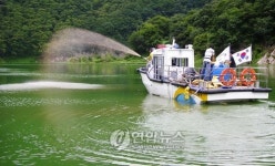 녹조 제거작업 벌이는 충주권관리단