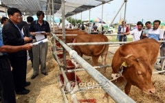 강원축산한마당잔치