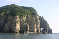 인천 연안도서 및 서해5도는 멸종위기 야생 동·식물의 낙원