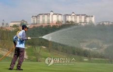 태백 오투리조트 무농약 골프장 도전