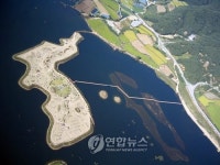 양구 파로호에 대형 인공습지 `눈길