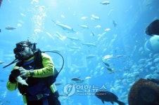 바다 속 세계로 초대합니다