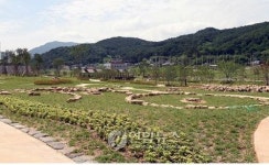 김해 율하지구 고인돌공원 임시 개장