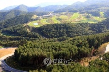 태백 오투리조트 콘도의 정원
