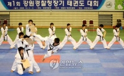 으라차차 격파 태권도 시범