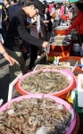 태안 안면도 백사장 대하축제 개막