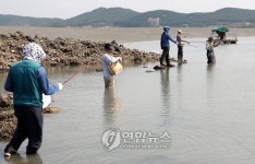 태안반도 망둥어 낚시 한창