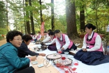오대산 천년 전나무 숲길에서 열린 다도회