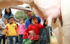 목장체험 신기해요