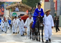 어르신들, 노총각 장가가요