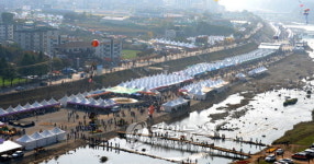 횡성한우축제 성황