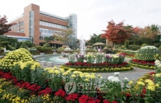 현대重 울산 동구서 국화전시회 개최