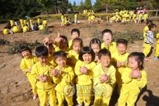 울산 현대학원 고구마 수확제 눈길