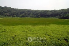 <람사르 습지> ③두웅습지.무제치늪.물영아리 오름