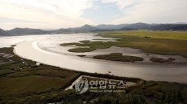 갈대축제 열리고 있는 순천만