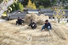 <카메라뉴스>초가지붕 잇기로 바쁜 선교장