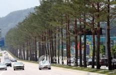 강릉 소나무 명품길 공공디자인 우수상