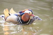 강원에서 평생의 반려자를 찾으세요