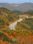 단풍 곱게 물든 대관령