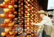 논산 양촌 곶감축제 29-30일 열려
