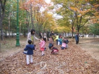 수원 도심공원서 낙엽 밟아보세요