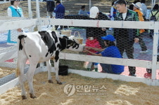 원주서 농업인 한마당 목장 나들이 인기